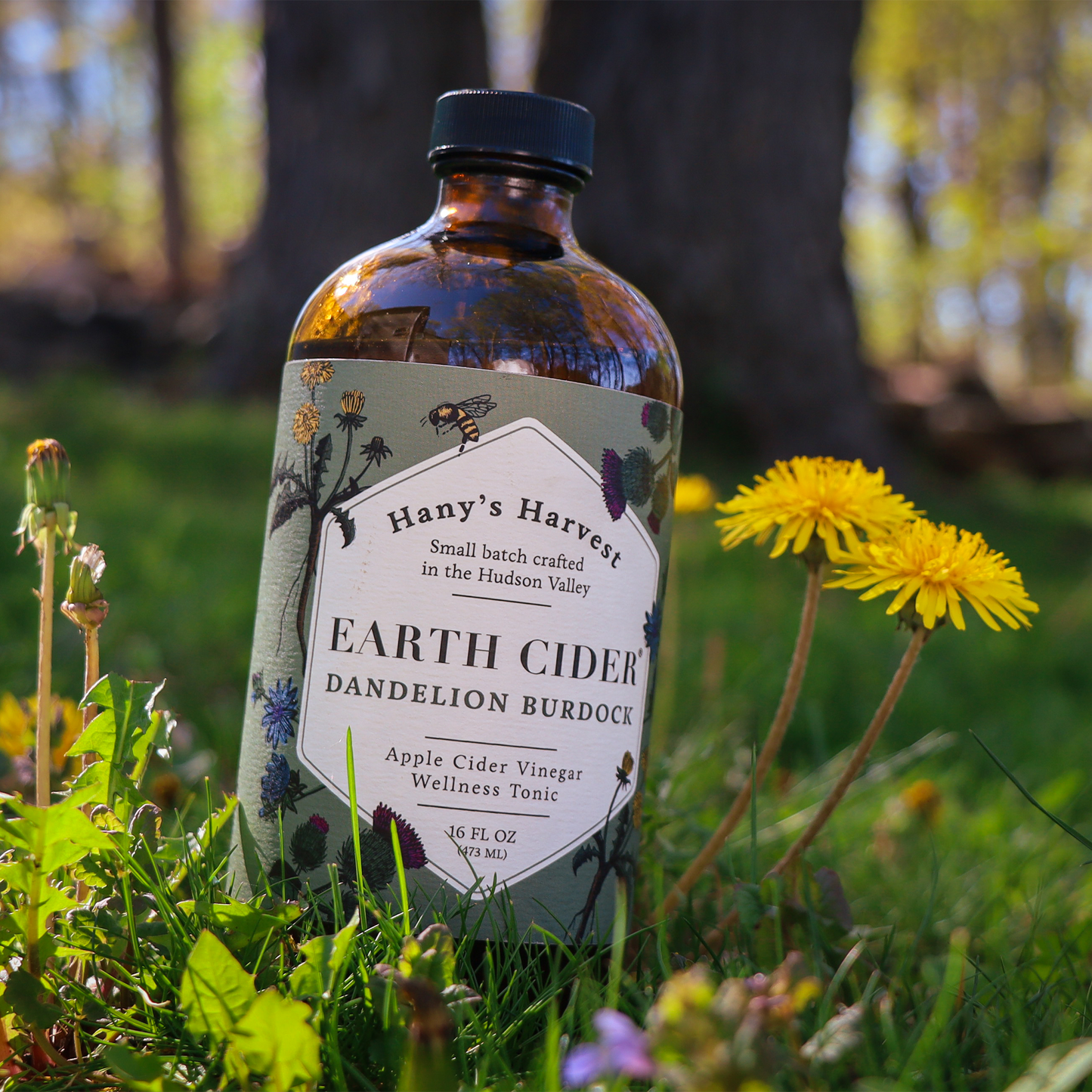 Dandelion Earth Cider