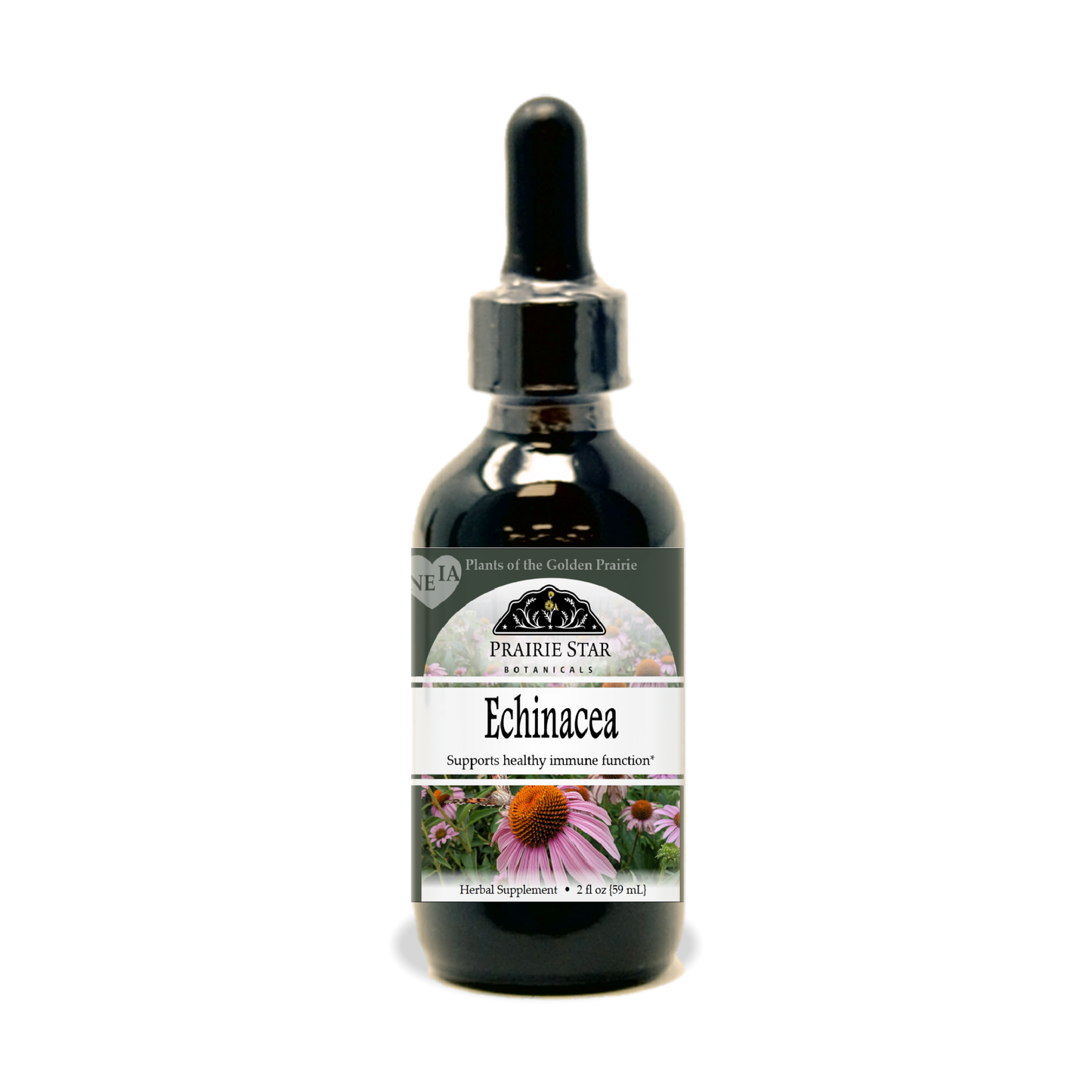 Echinacea