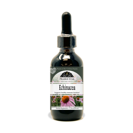 Echinacea