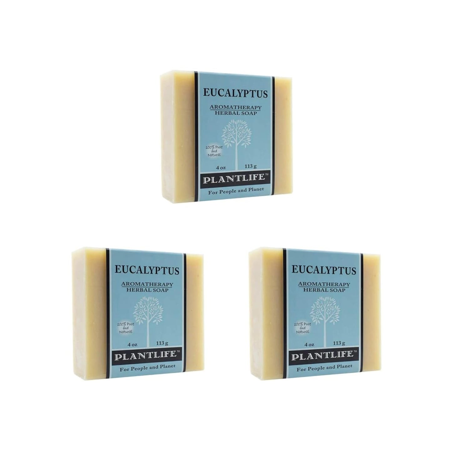 Eucalyptus Bar Soap