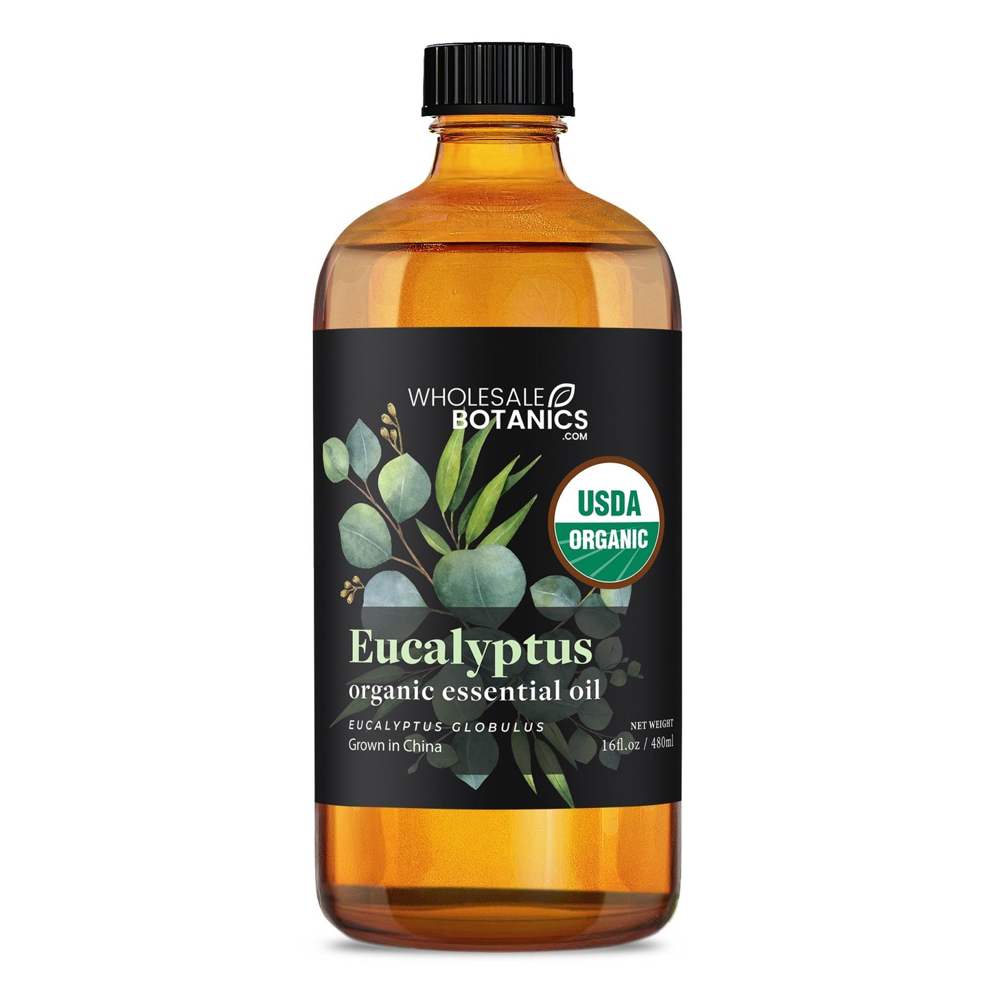 Organic Eucalyptus Essential Oil