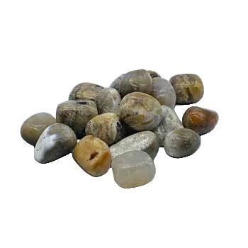 1 lb Agate, Dendritic tumbled