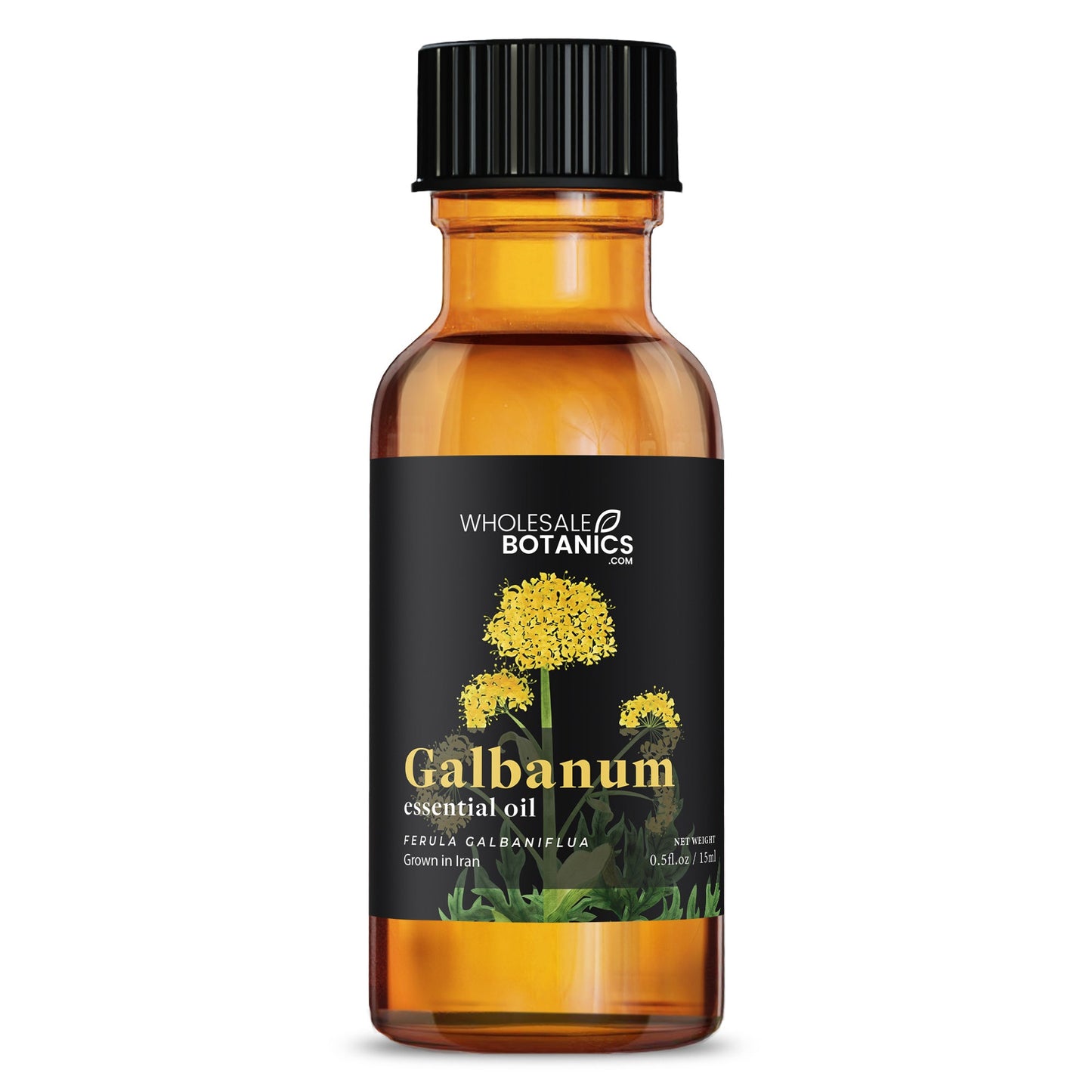 Galbanum Essential Oil