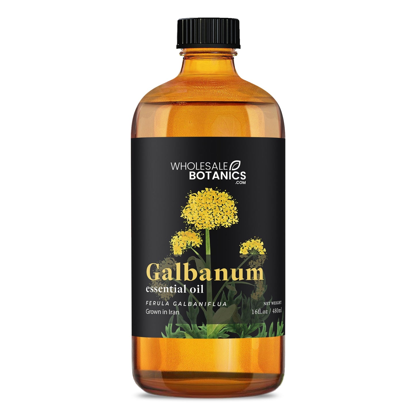 Galbanum Essential Oil