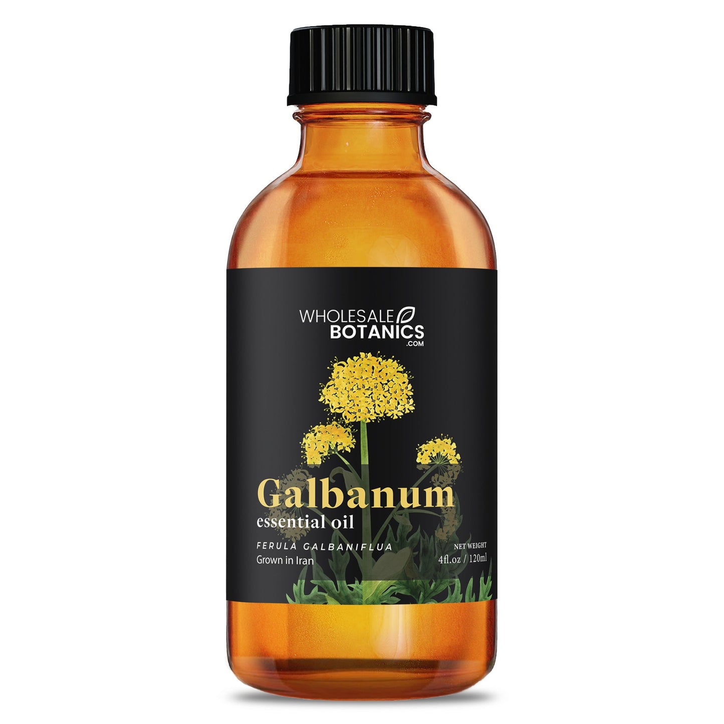 Galbanum Essential Oil