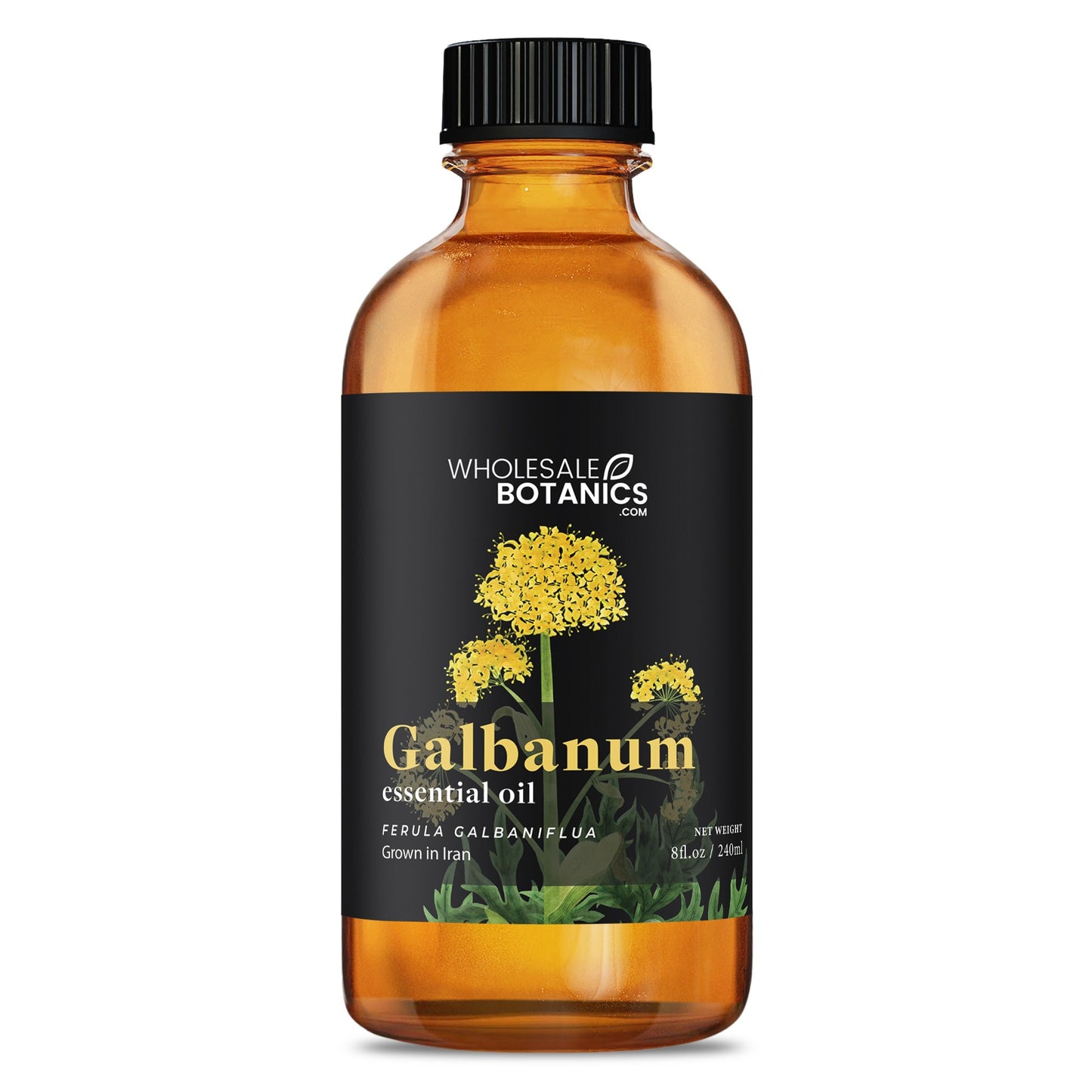 Galbanum Essential Oil