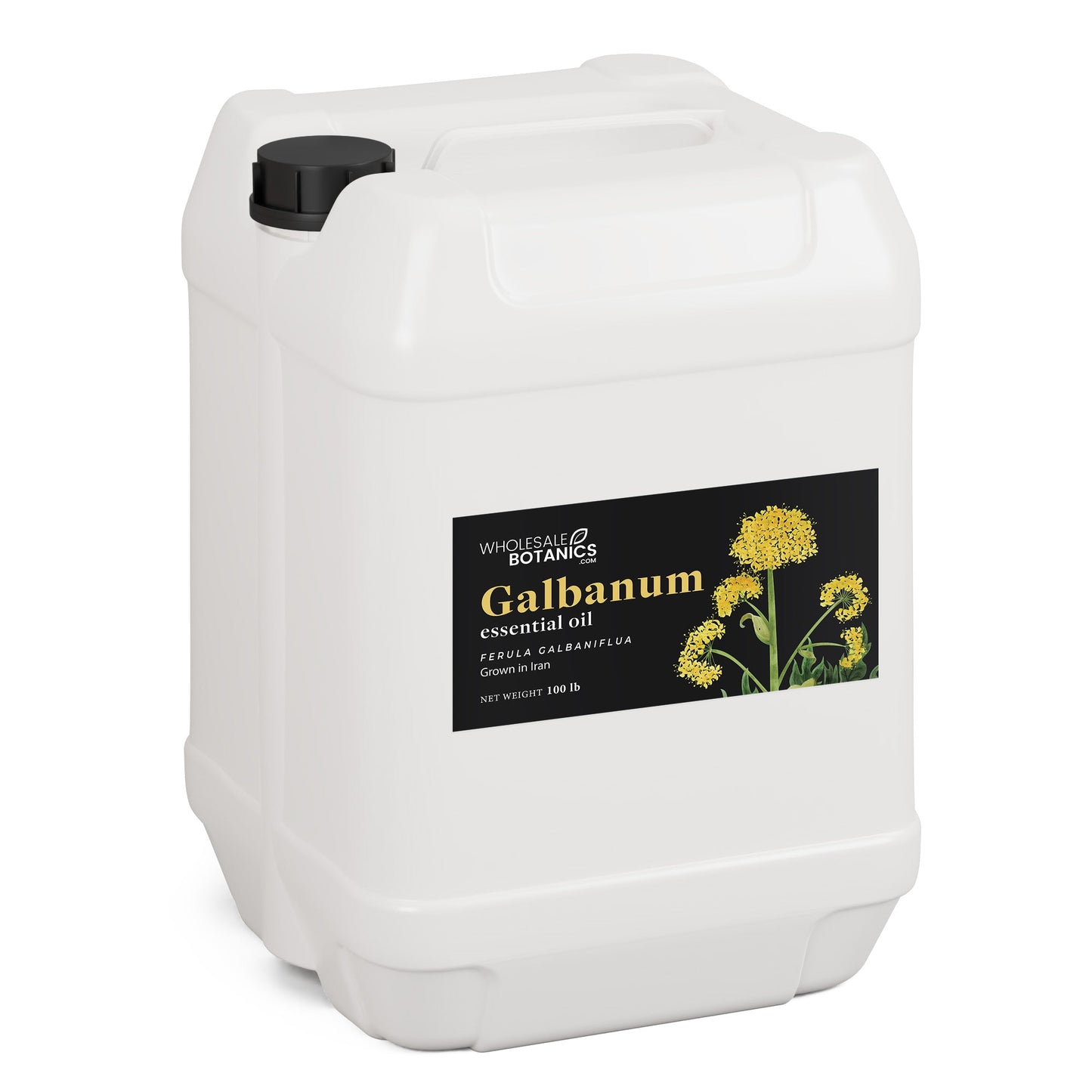 Galbanum Essential Oil
