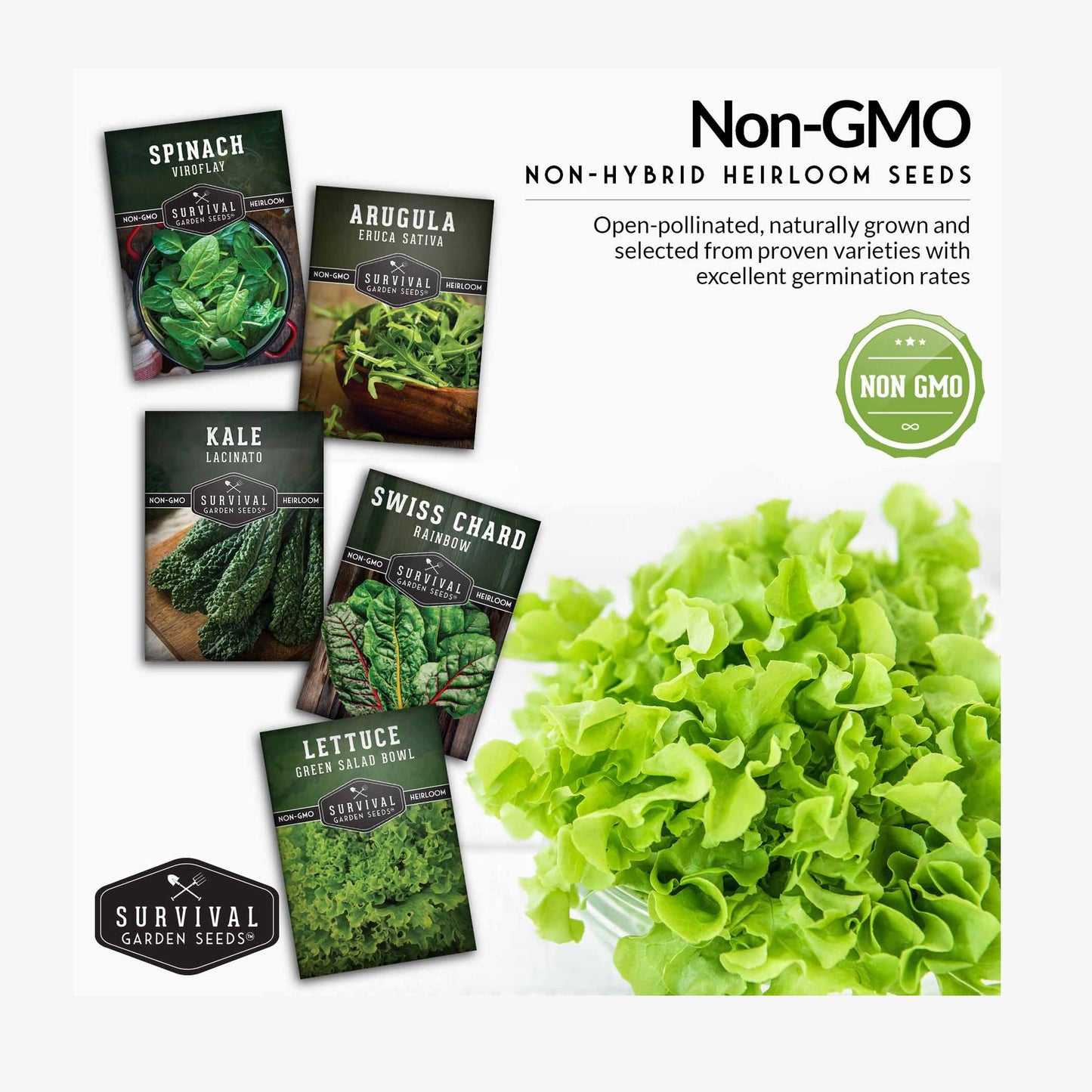 Greens Collection - Spinach, Arugula, Kale, Lettuce & Swiss Chard