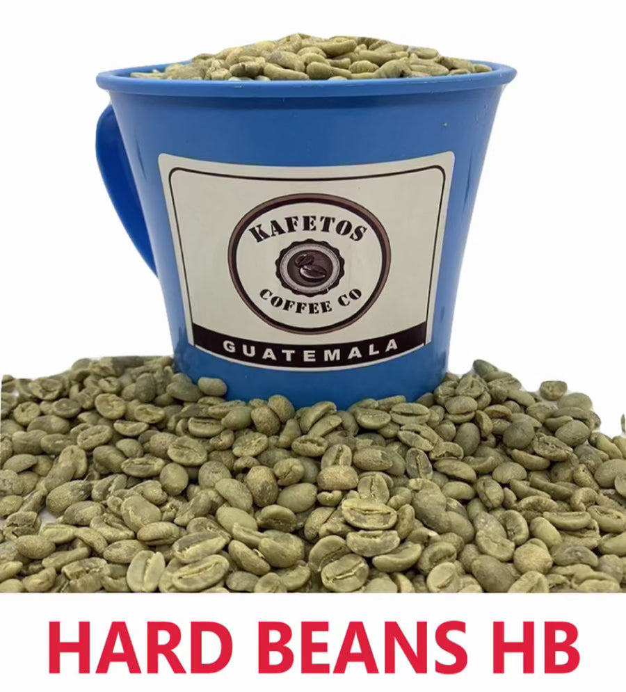 Hard Bean HB Specialty Grade -2025 CROPS-