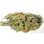 Eucalyptus cut 2oz (Eucalyptus globulus)