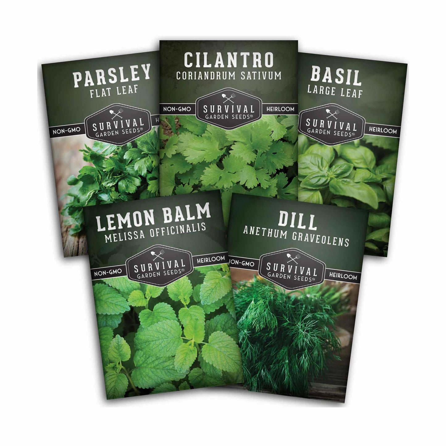 Herb Collection - Basil, Cilantro, Dill, Lemon Balm, Parsley