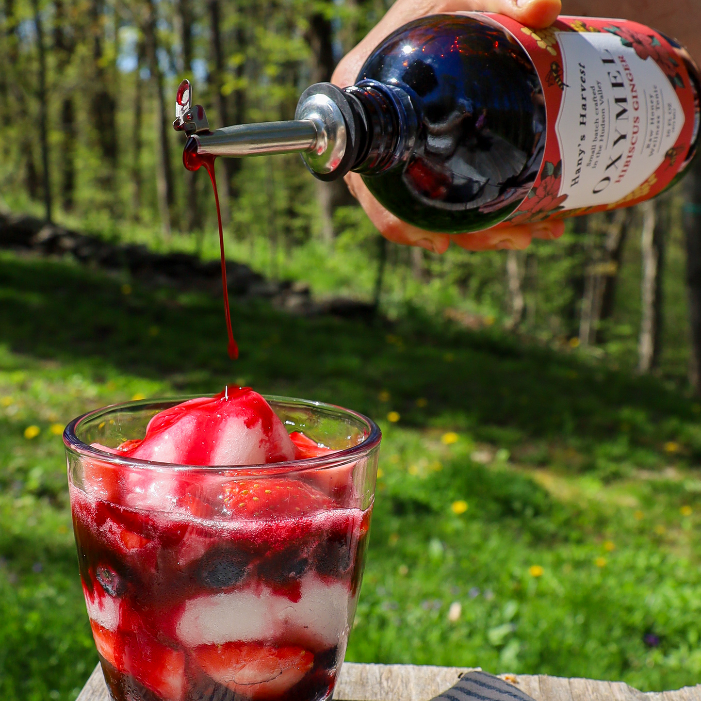 Hibiscus Ginger Herbal Syrup