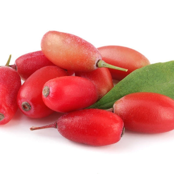 Goji Berry Botanical Extract Powder