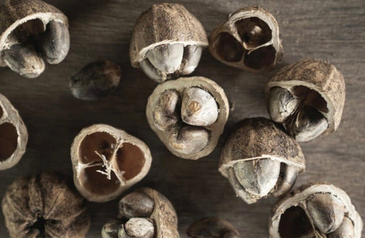 Cacay Nut Oil - Virgin