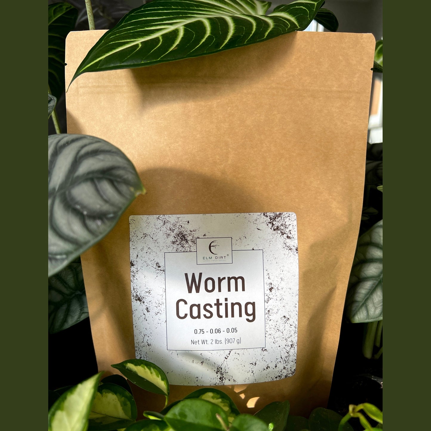 Premium Organic Worm Castings - Nature's Perfect Plant Fertilizer