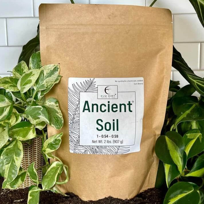 Ancient Soil: Organic Living Soil for Thriving Plants