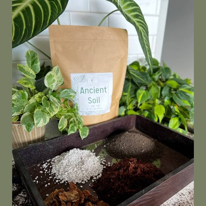 Ancient Soil: Organic Living Soil for Thriving Plants