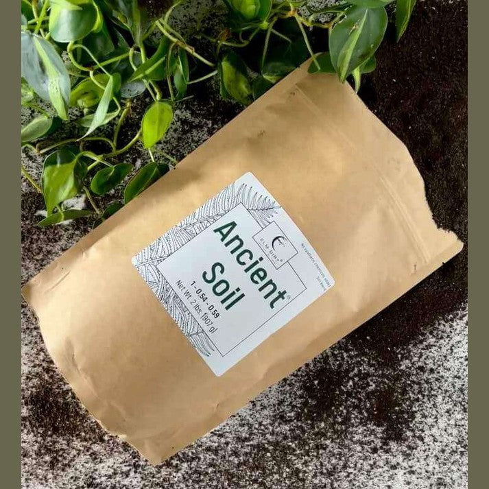 Ancient Soil: Organic Living Soil for Thriving Plants