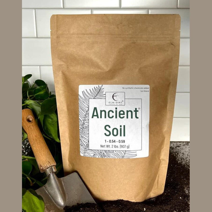 Ancient Soil: Organic Living Soil for Thriving Plants