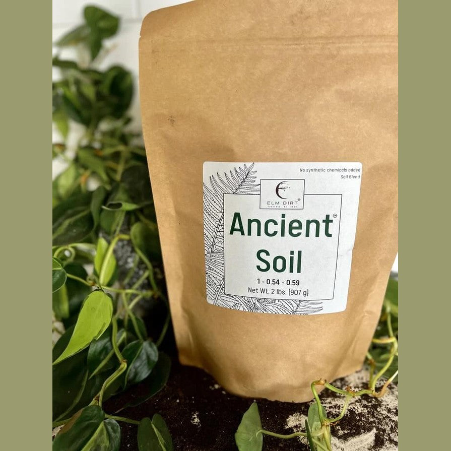 Ancient Soil: Organic Living Soil for Thriving Plants
