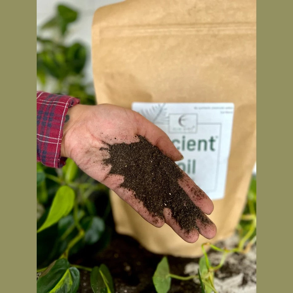 Ancient Soil: Organic Living Soil for Thriving Plants
