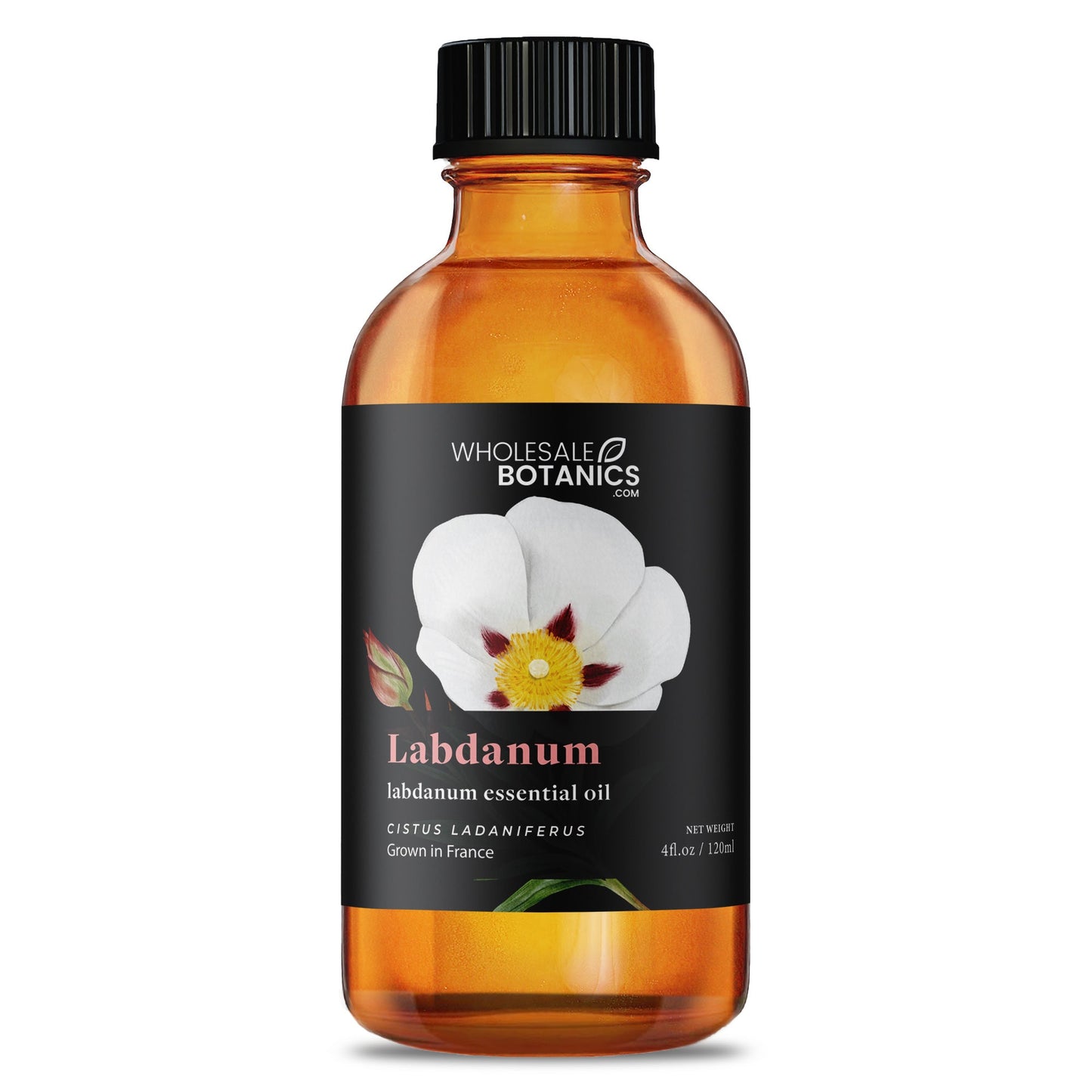 Labdanum Essential Oil