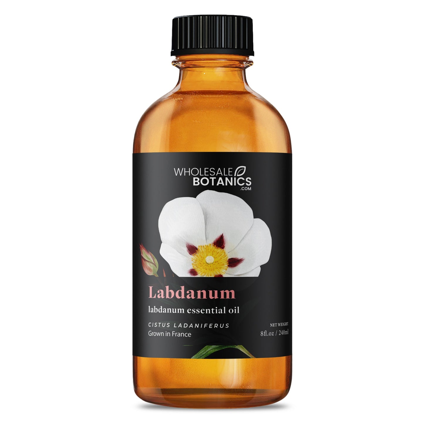 Labdanum Essential Oil