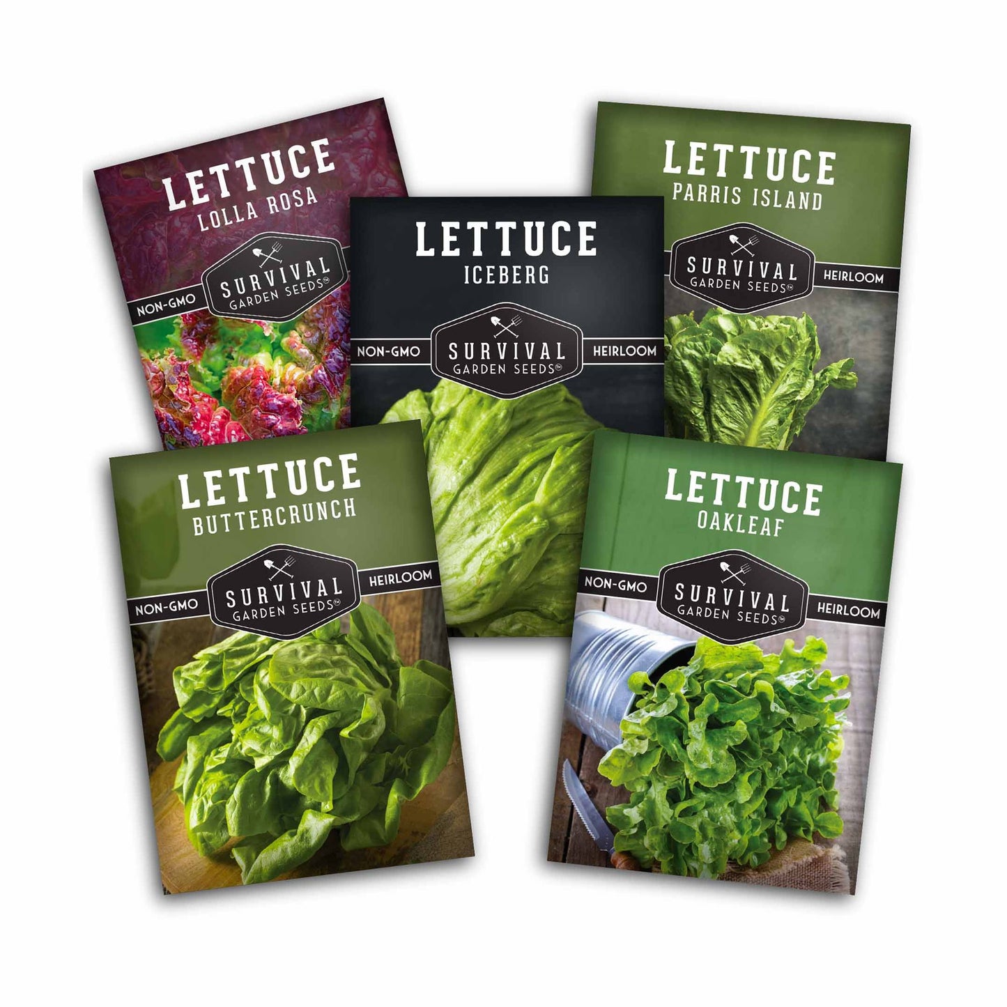 5 Lettuce Collection - Buttercrunch, Oakleaf, Lolla Rosa, Parris Island, Iceberg