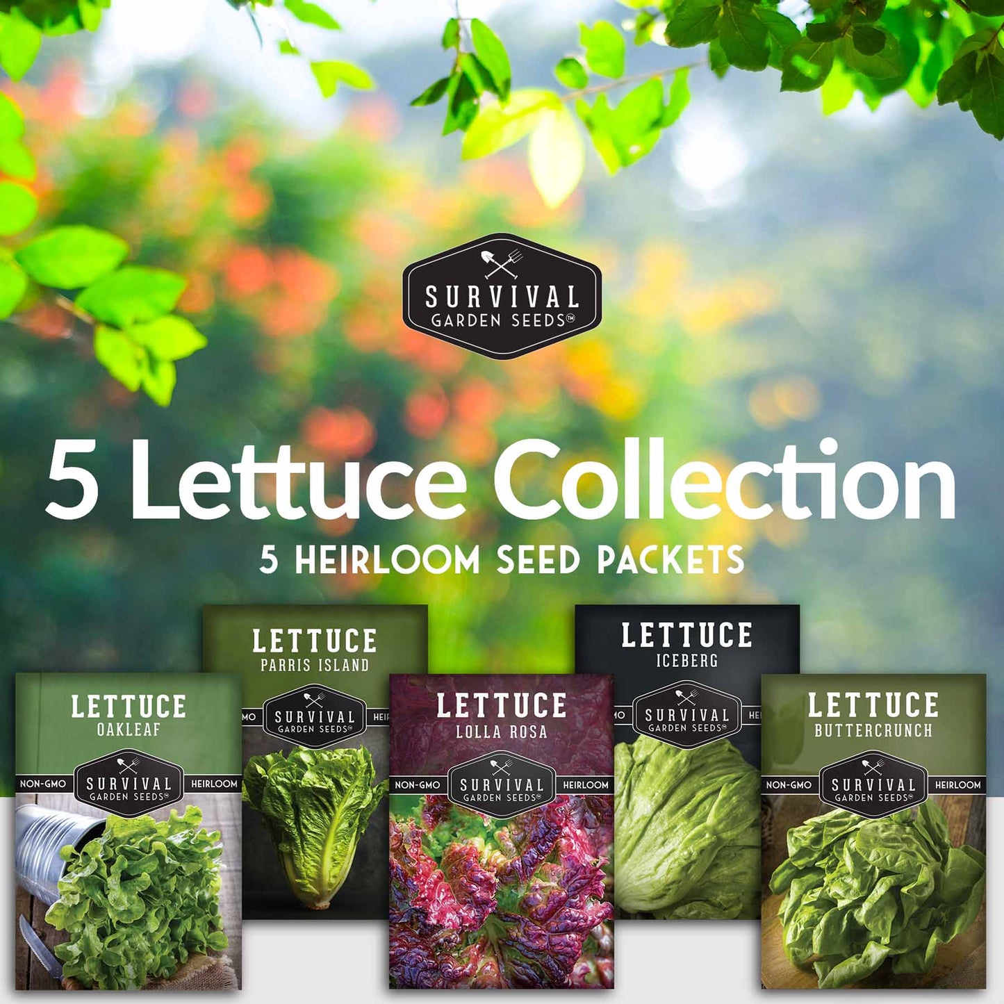 5 Lettuce Collection - Buttercrunch, Oakleaf, Lolla Rosa, Parris Island, Iceberg