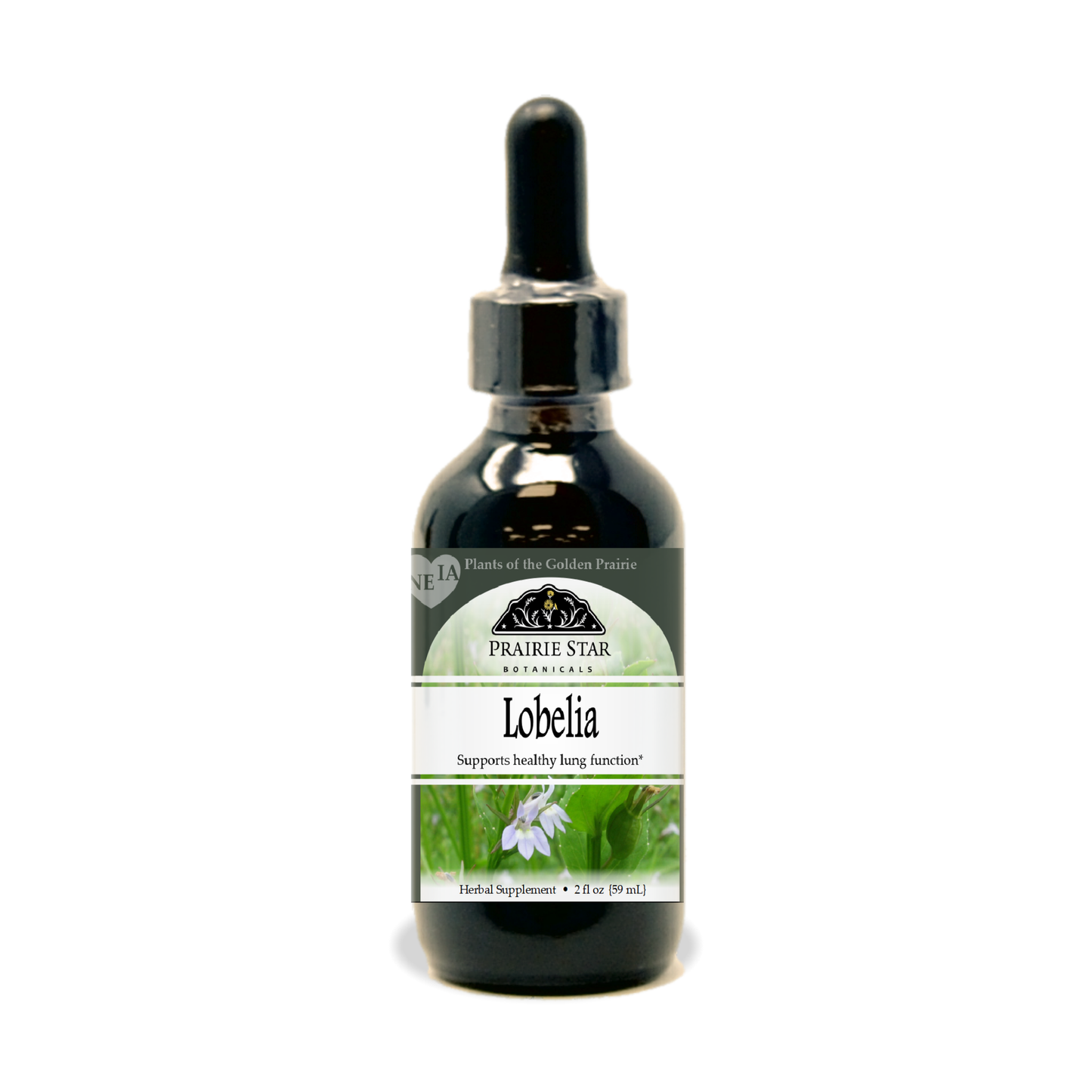 Lobelia