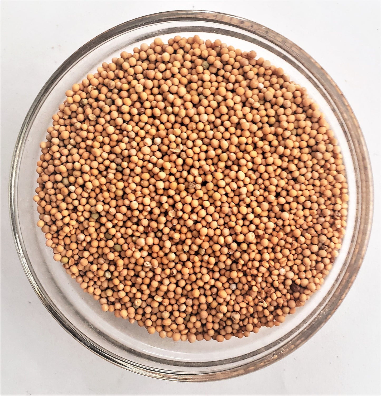 Mustard seed - non-gmo