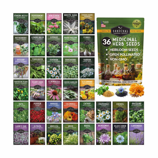Medicinal Herb Garden - 36 Heirloom Seed Varieties for a Wellness Garden