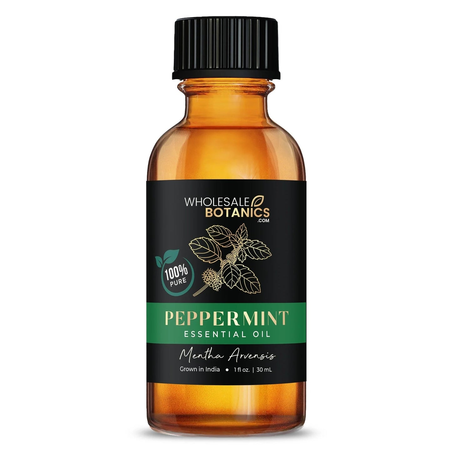 Most Popular Essential Oils Sample Kit