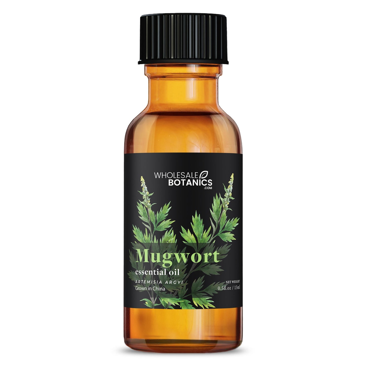Mugwort Essential Oil