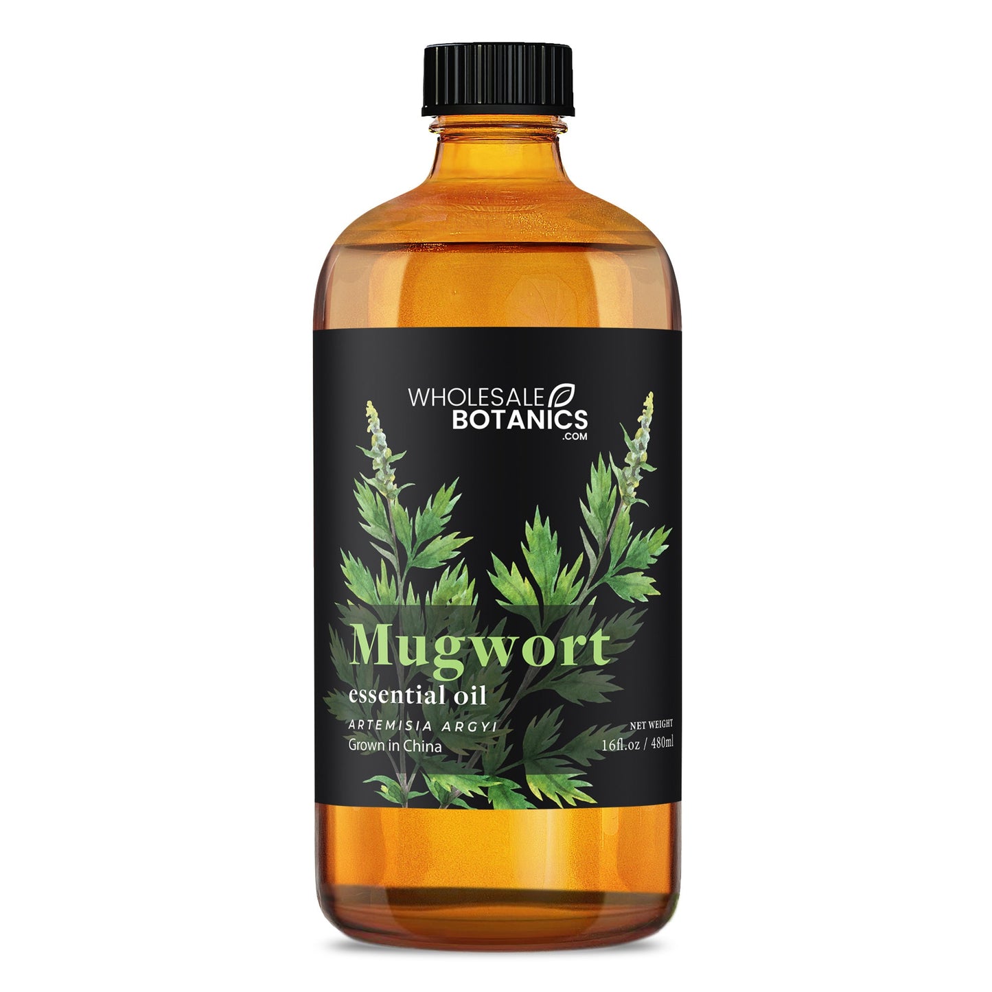 Mugwort Essential Oil