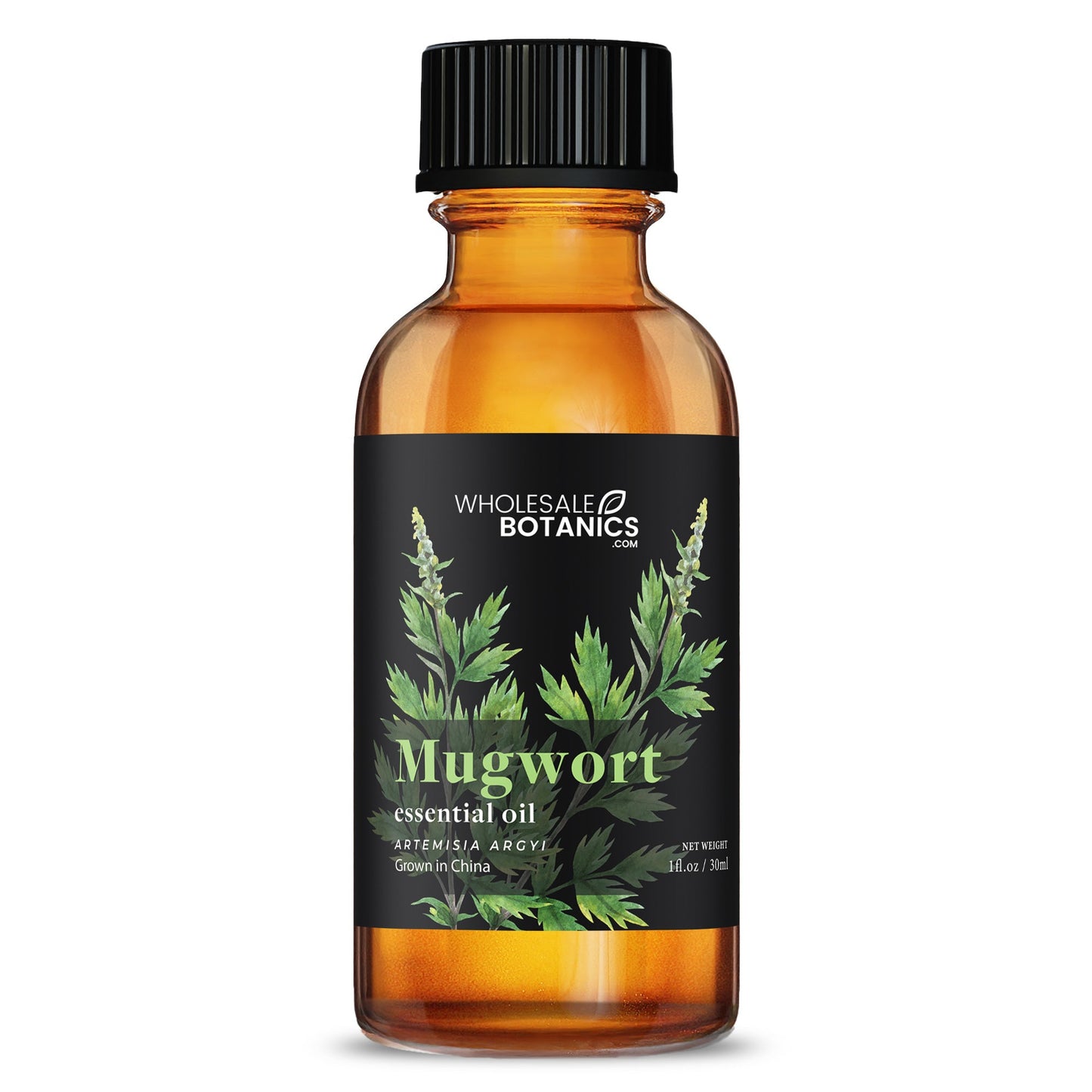 Mugwort Essential Oil