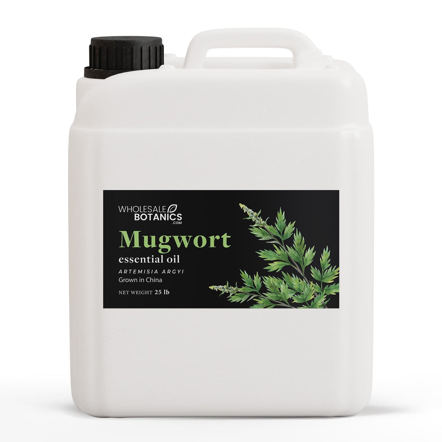 Mugwort Essential Oil