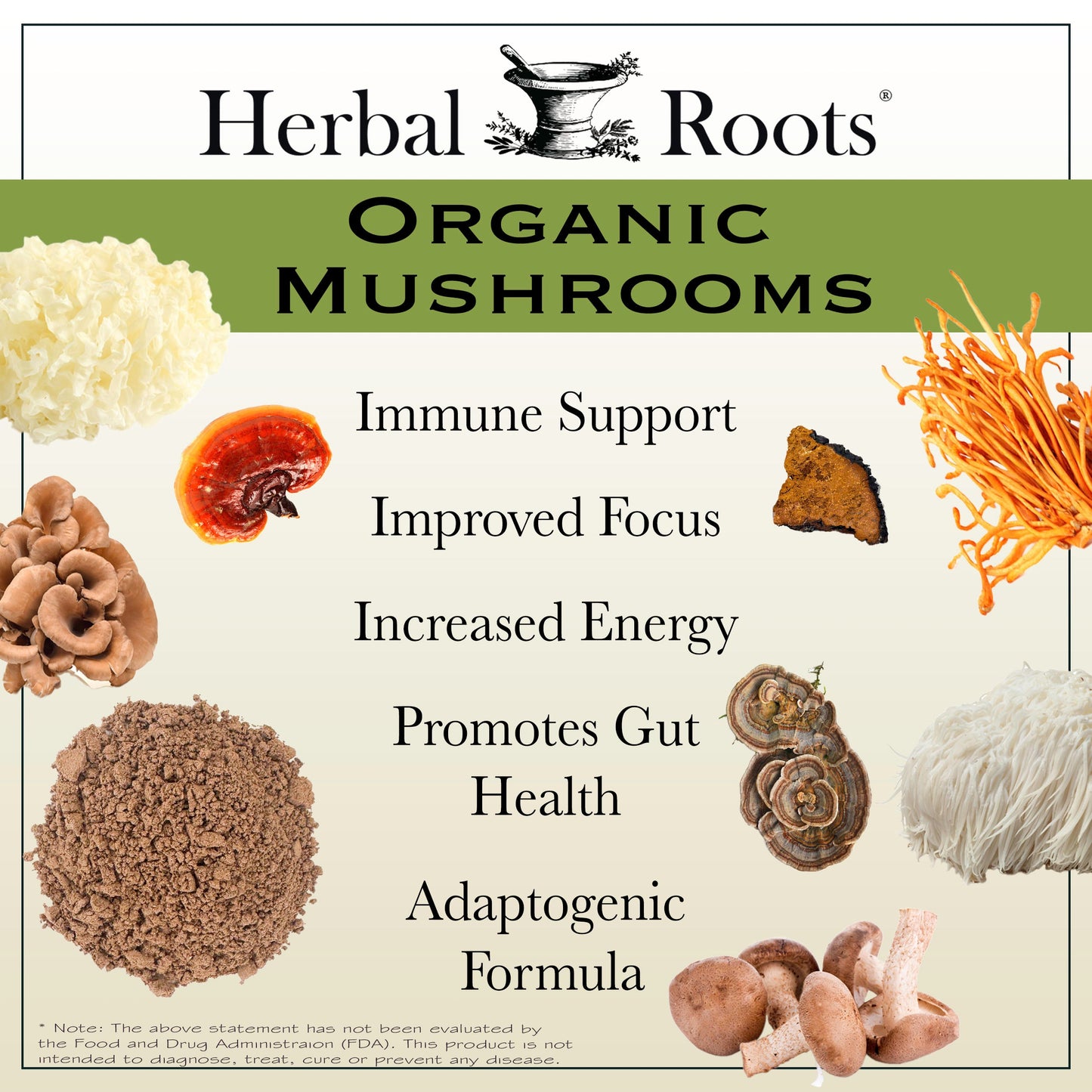 Organic Mushrooms Blend