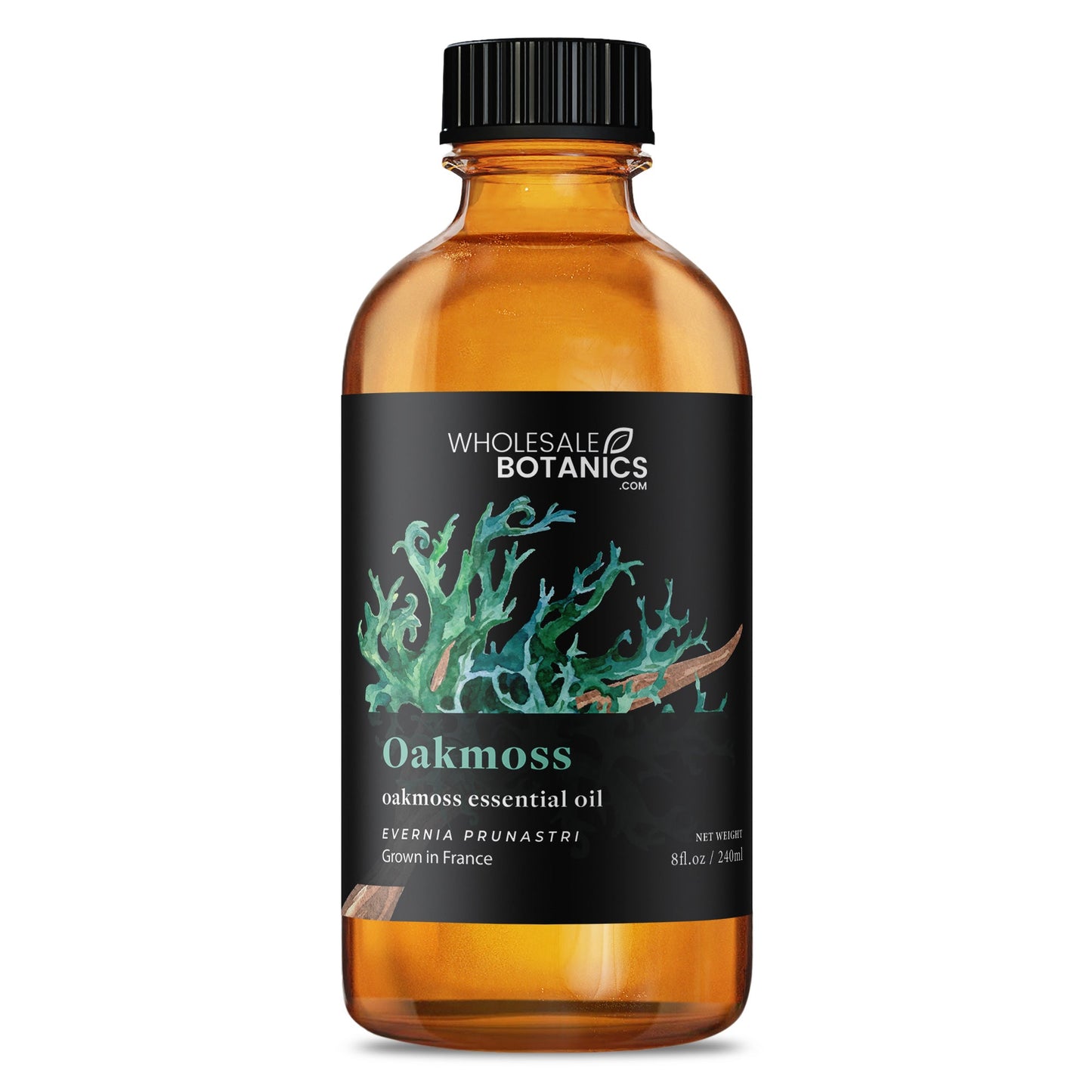 Oakmoss Essential Oil