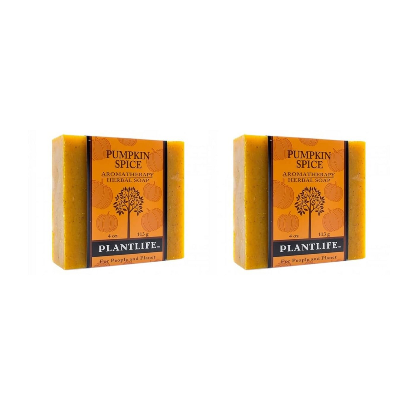 Pumpkin Spice Bar Soap