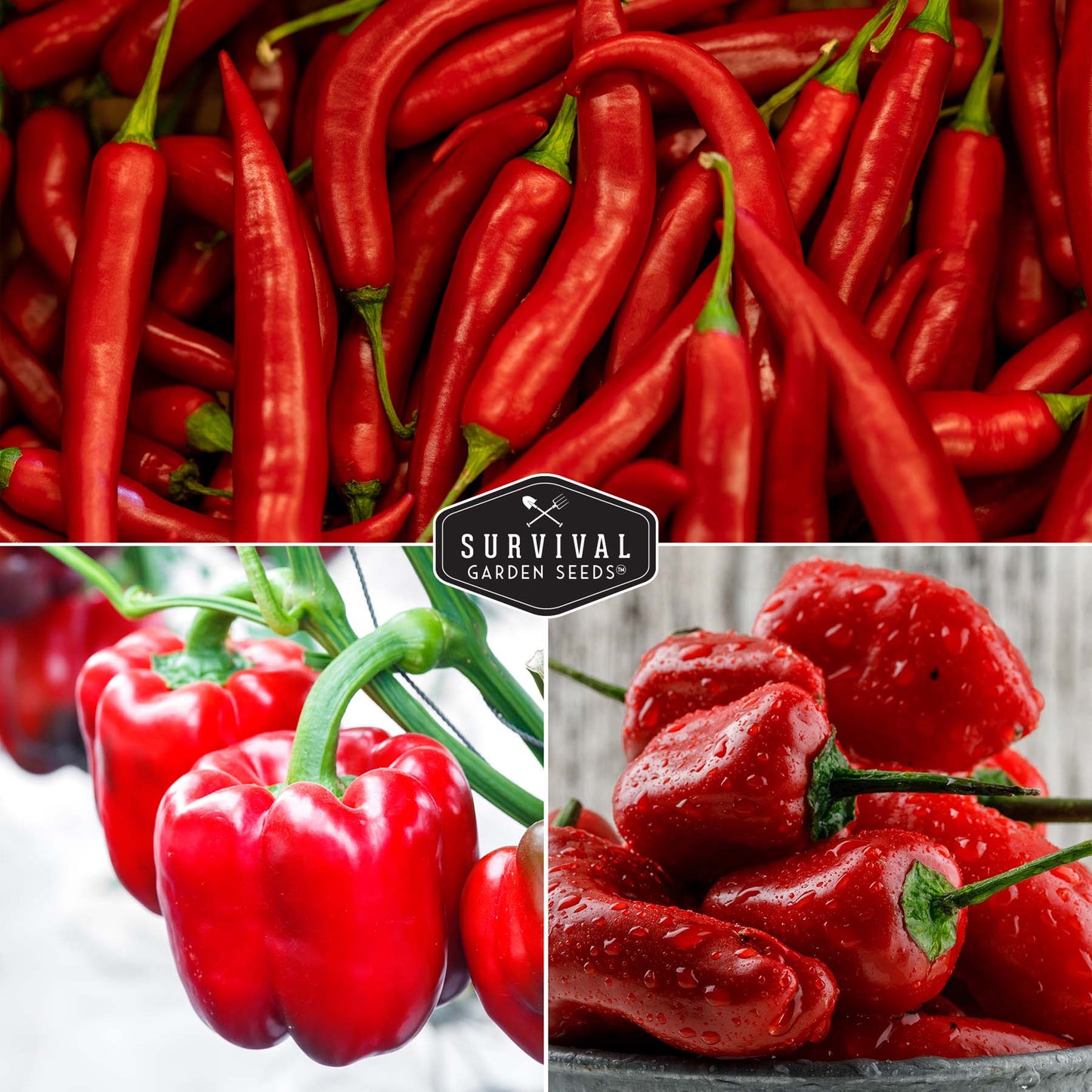 8 Peppers Seed Collection  - Sweet & Hot Peppers