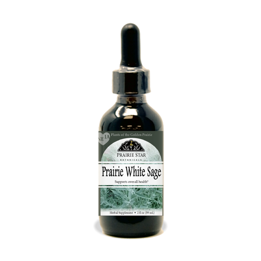 Prairie White Sage