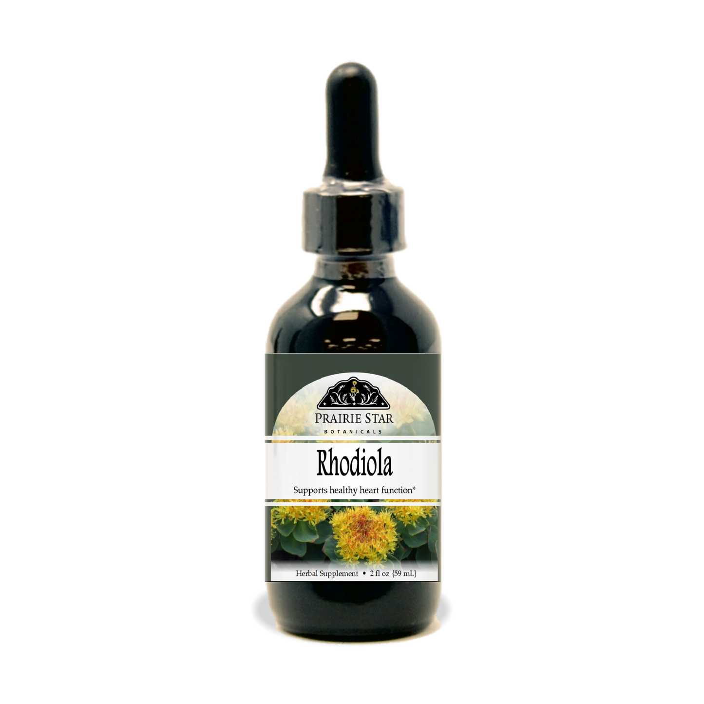 Rhodiola