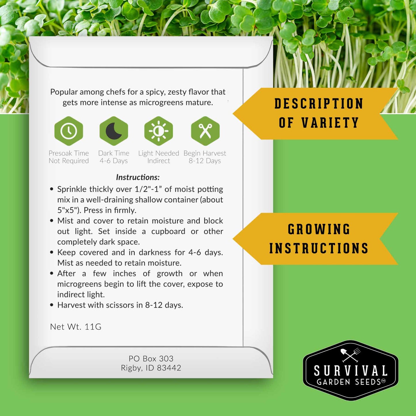 Microgreens 10 Variety Seed Kit