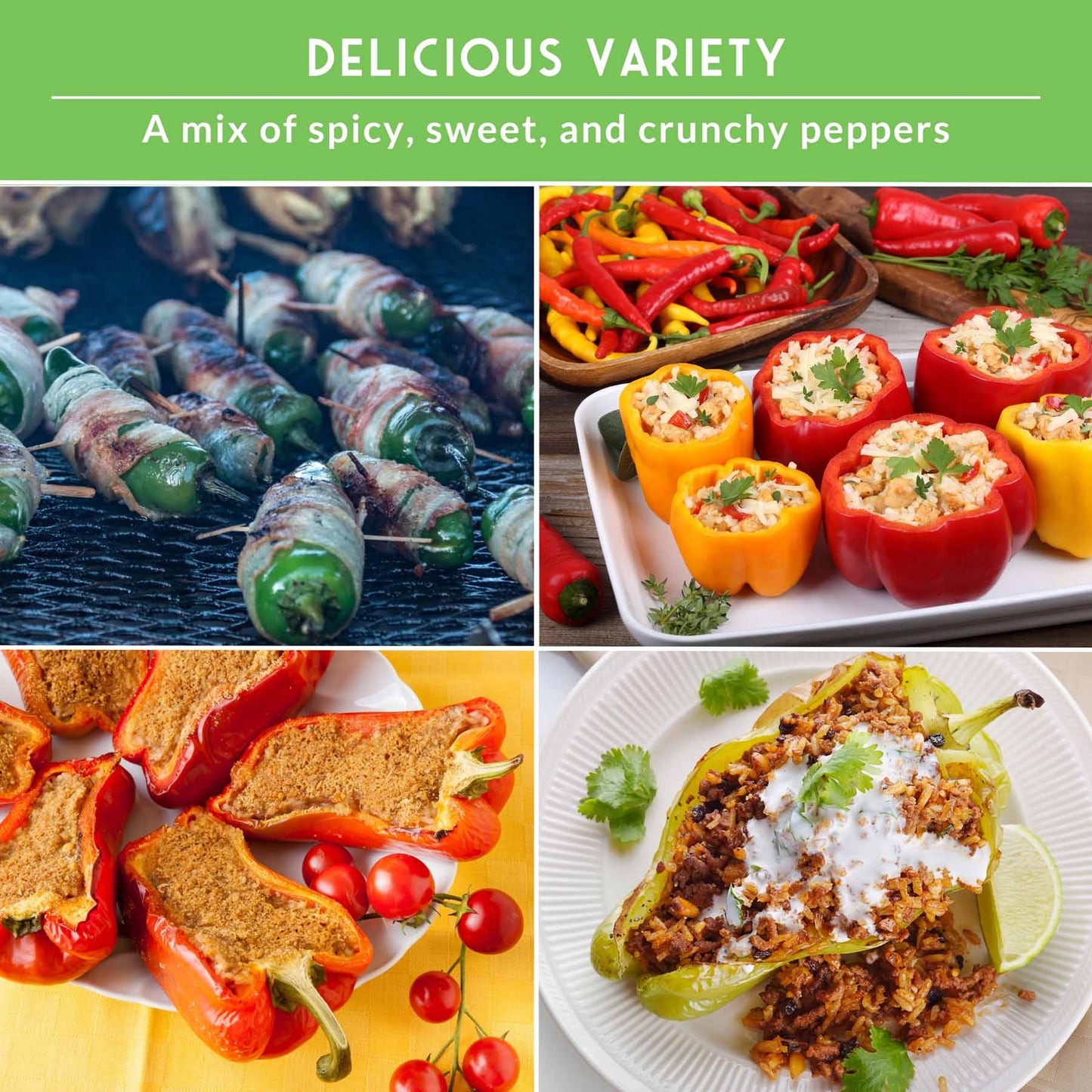 12 Pepper Seed Collection - Hot, Sweet & Colorful Peppers