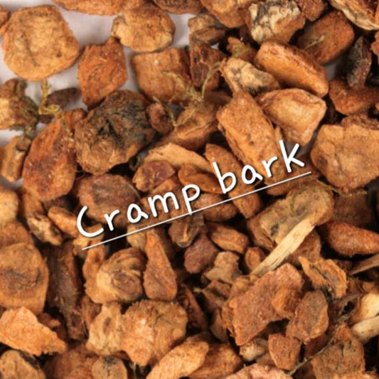 Cramp Bark | Muscle Relaxation & Menstrual Comfort