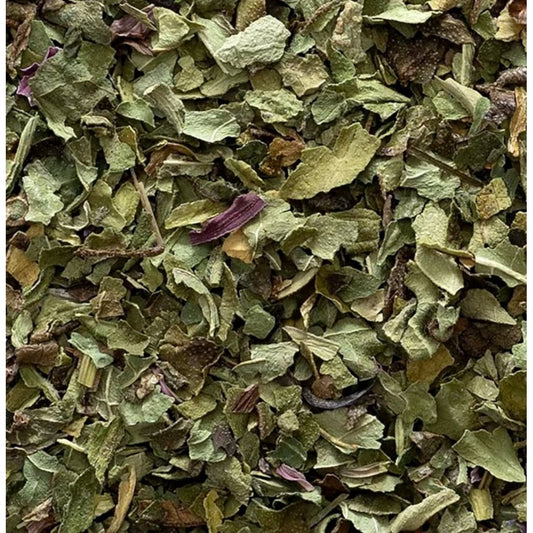 Echinacea | Immune Support & Recovery Aid