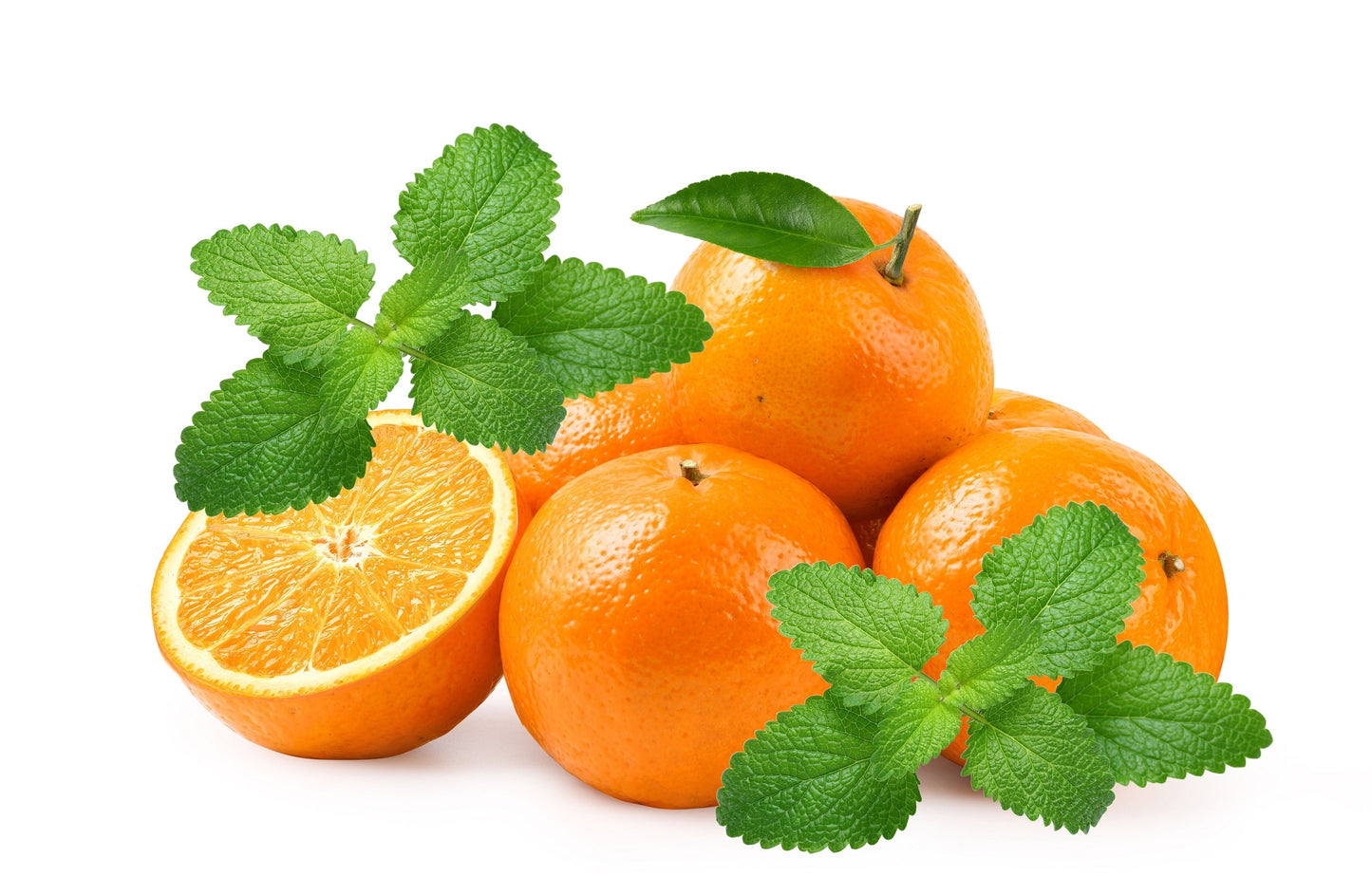 25 Orange MANDARINA BALM Mandarin Lemon Balm Melissa Officinalis Herb Seeds