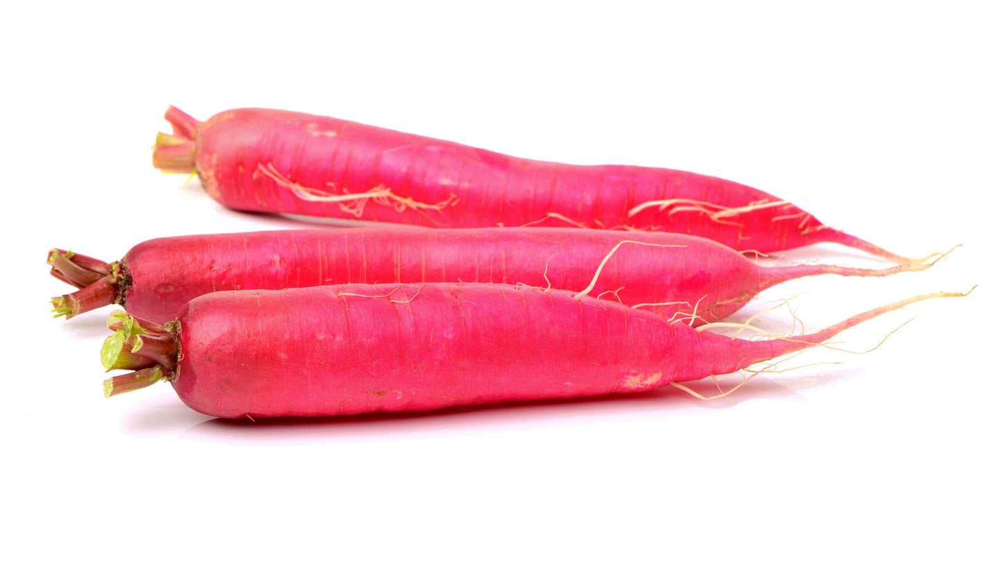 250 RED Arrow SPROUTING RADISH MiniGreen Daikon Raphanus Sativus Vegetable Seeds