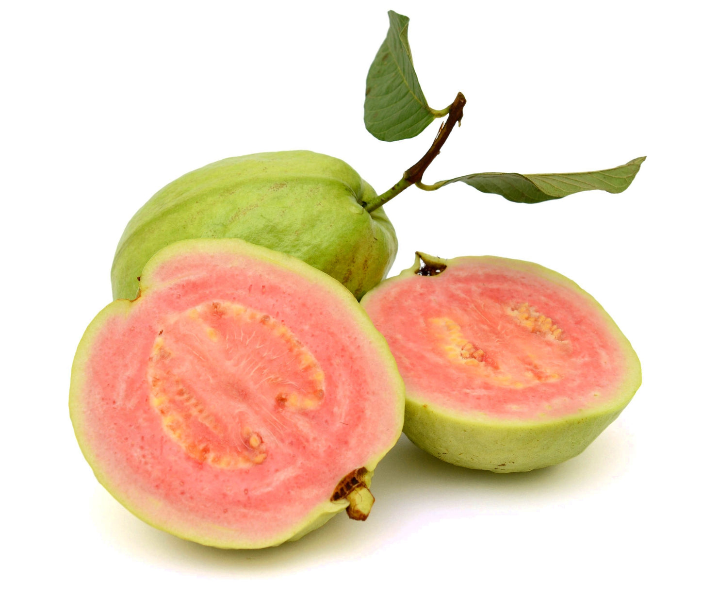 20 GUAVA FRUIT Tree Shrub Psidium Guajava White Flowers Fruit Seeds